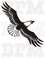 /album/fotogaleria-vtaky/vtaky-32-jpg/